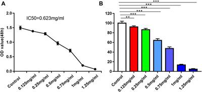 Dahuang—Taoren, a botanical drug combination, ameliorates adenomyosis via inhibiting Rho GTPases